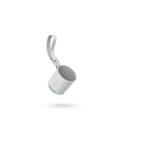 Portable Bluetooth Speakers Sony SRSXB100H.CE7 Grey