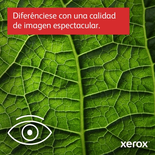 Laser Printer Xerox C620V_DN