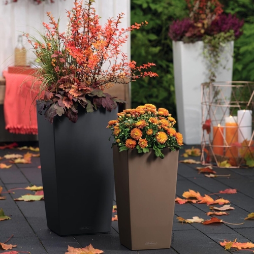 Plant pot Lechuza 13158 40 x 40 x 75 cm Board polypropylene Plastic Bucket