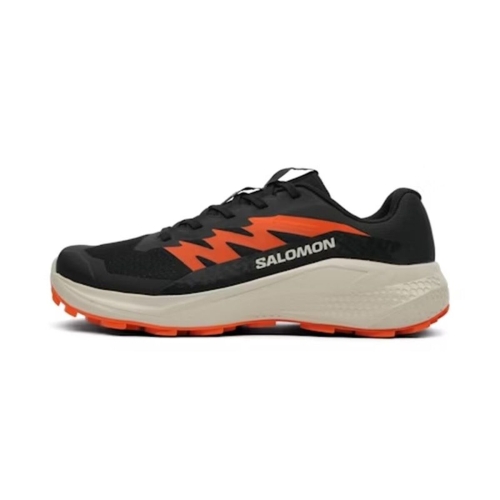 Men's trail running shoes (mountain running) Salomon Alphaglide Black