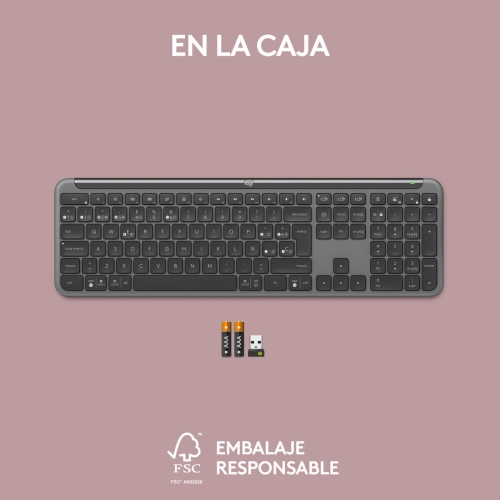Wireless Keyboard Logitech 920-012455 Graphite QWERTY