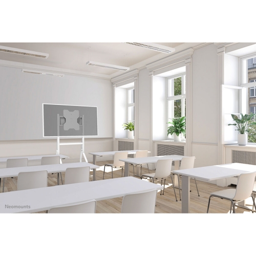 Screen Table Support Neomounts FL50-515WH1 55" 65"