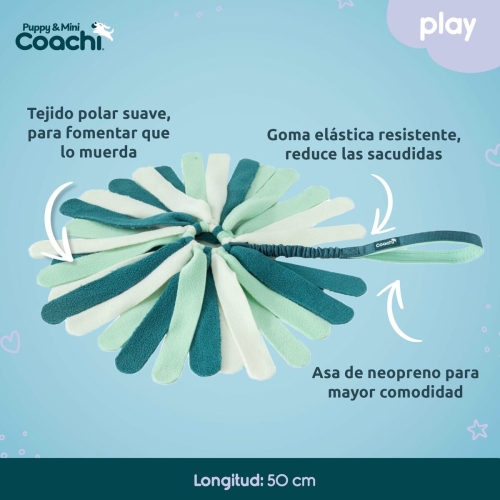 Dog Harness Coachi