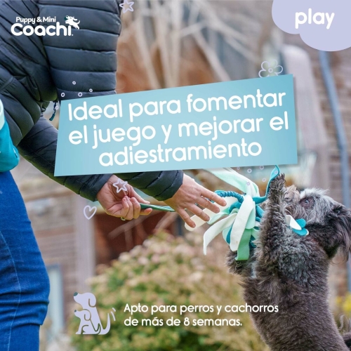 Dog Harness Coachi