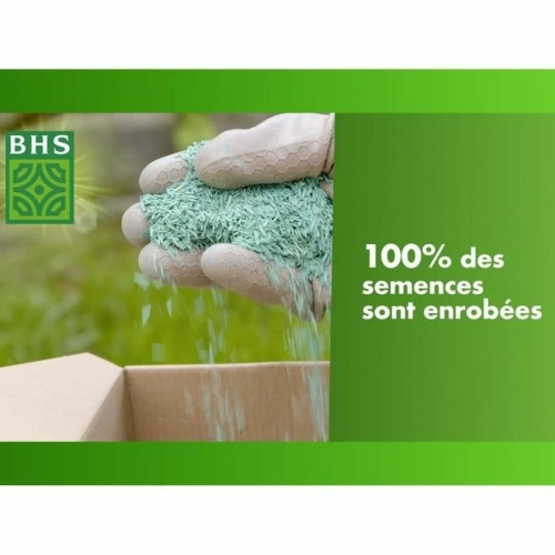 Seeds BHS 1 kg