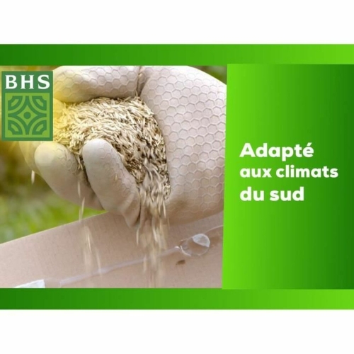 Seeds BHS 1 kg