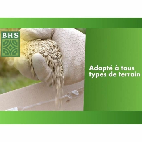 Seeds BHS 3 Kg