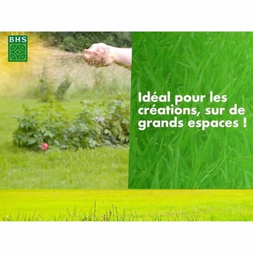 Seeds BHS 10 kg
