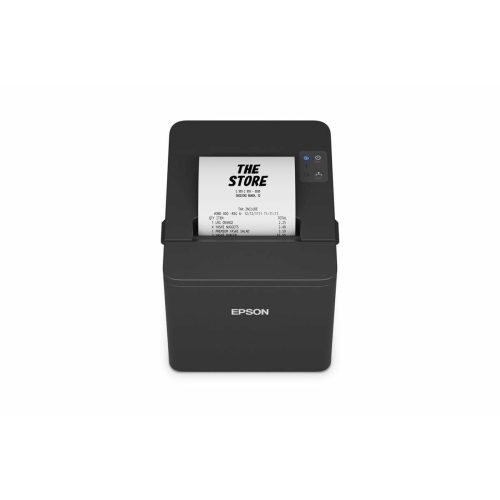 Ticket Printer Epson TM-T20IV (101)