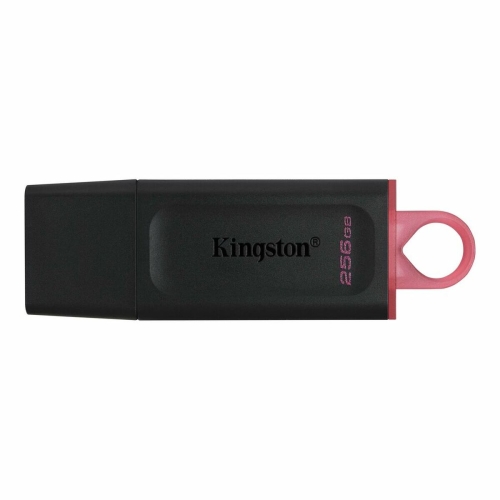 USB stick Kingston DTX/256GB Keychain Black 256 GB