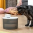Rechargeable Cat Water Fountain with Sensor Refopet InnovaGoods image1