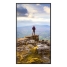 Videowall Monitor Sharp 60006181 4K Ultra HD 43
