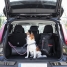 Individual Protective Car Seat Cover for Pets KabaPet InnovaGoods image6