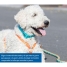 Dog harness Trixie New Premium Red image2