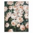 Oil Painting Roses Pine image1