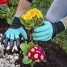Gardening Gloves with Claws InnovaGoods image2
