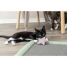 Scratching Post for Cats Trixie Junior image4