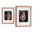 Painting Gift Decor Bronze Glass Particleboard Tiger Lion 33 x 3 x 43 cm 33 x 43 x 3 cm image1