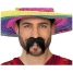 Moustache image1