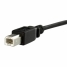 USB Cable Startech USBPNLBFBM1          USB B Black image1