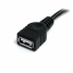 USB Cable Startech USBEXTAA10BK Black 3 m image2