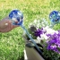 Automatic Watering Globes Aqua·Loon InnovaGoods 2 Units image3