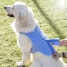 InnovaGoods Refreshing Pet Vest for Large Pets - L image4