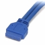 USB Cable Startech USB3SPNLAFHD         IDC USB A Blue image1