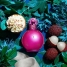 Unisex Perfume Britney Spears FANTASY 100 ml image3