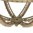 Ceiling Light (Refurbished B) image4