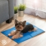 Refreshing Pet Mat Colet InnovaGoods 40 x 50 cm image1