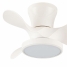 Ceiling Fan CristalRecord MOLL RETRAC Transparent 20 W image2