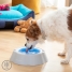 Cooling Pet Water Bowl Freshty InnovaGoods image1