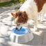 Cooling Pet Water Bowl Freshty InnovaGoods image3