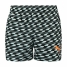 Men’s Bathing Costume Puma Swim Formstrip Black image1