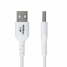 USB Cable Startech USB2AC1MNCWHE White 1 m image5