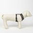 Dog Harness Harry Potter Reversible Red XS image6
