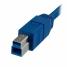 USB A to USB B Cable Startech USB3SAB1M            Blue image3