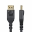 VGA Cable Startech DP14MDPMM10F Black 3 m image4