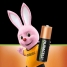 Rechargeable Batteries DURACELL 1,2 V AA image2