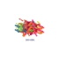 Water Balloons Marbueno image1