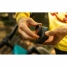 Sports Camera GoPro HERO13 Black image2