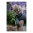 Dog Coat Red Dingo Puffer Black/Grey 25 cm image2