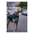 Dog Coat Red Dingo Puffer Black/Grey 25 cm image3