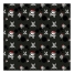 Hygienic Reusable Fabric Mask 6-9 years Pirate image2