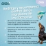 Dog Harness Coachi image2