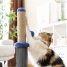 Cat Scratching and Massage Post with Ball Miausage InnovaGoods image3
