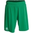 Men's Sports Shorts Luanvi BERMUDA POL Green image1