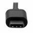 Cable USB C Startech USB2CC2M             USB C Black image2