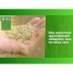 Seeds BHS 3 Kg image4